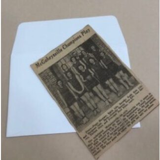 Buffered Envelopes with Flap on Long Side, 4-3/8 x 6-3/8 - #AE-L-46